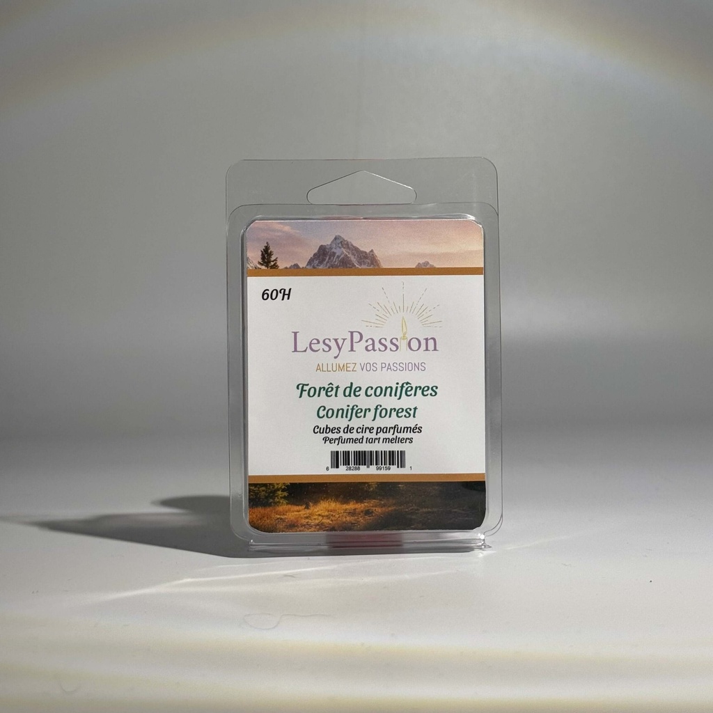 Forêt de conifères